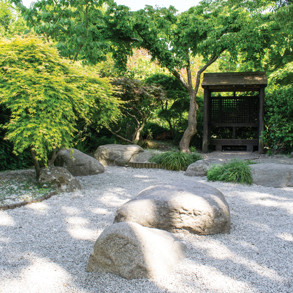 Wildlife Photography Tips at Nagar Van