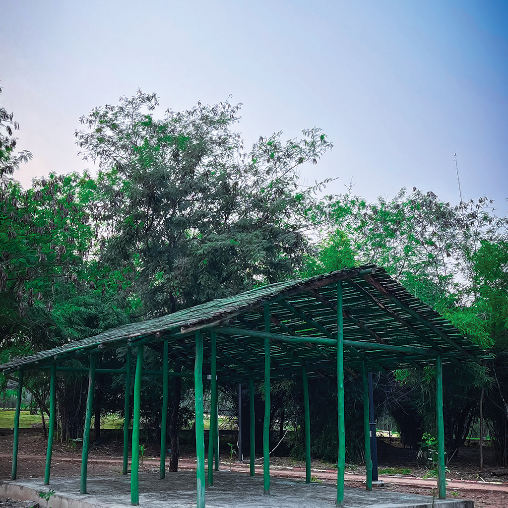Rustic wooden swing under ancient banyan tree