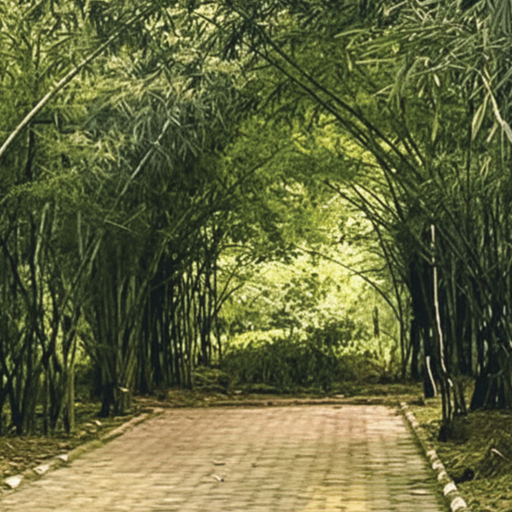 Sunset viewpoint with bench overlooking city
